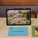 Photographs on display for judging at The Croydon Honey Show